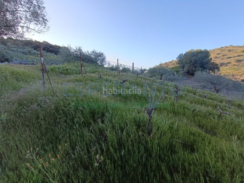 Foto f1fe943c-c6f0-4a11-8cfd-aa52f3aea450. Masia a Coín