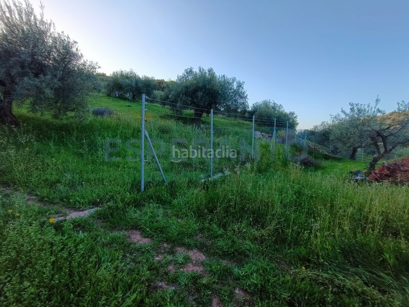 Foto f235ed6c-c286-43fd-bf16-437b6cf1d0d1. Masia a Coín