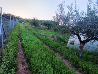 Masia a Diseminados Parcela Rustica
