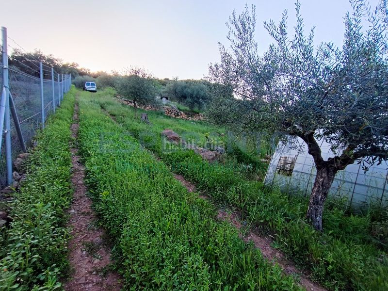 Foto f2f94c5a-7291-4f83-aa94-afe683ffd0a4. Masia a Coín