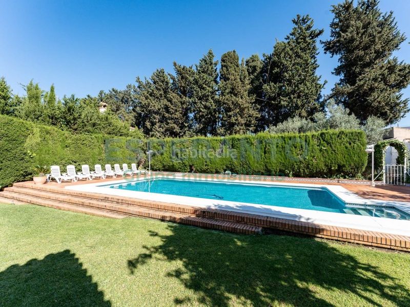 Foto de9922ff-2d3b-460d-868a-4d2a6af171f4. Casa amb aparcament piscina a Cortijo de Maza - Finca Monsalvez - El Olivar Málaga