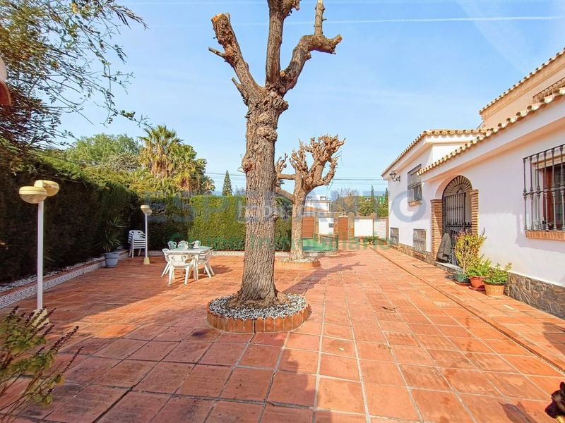 Foto e62fb527-1f2f-4184-bfe7-1237a83a132e. Casa amb aparcament piscina a Cortijo de Maza - Finca Monsalvez - El Olivar Málaga