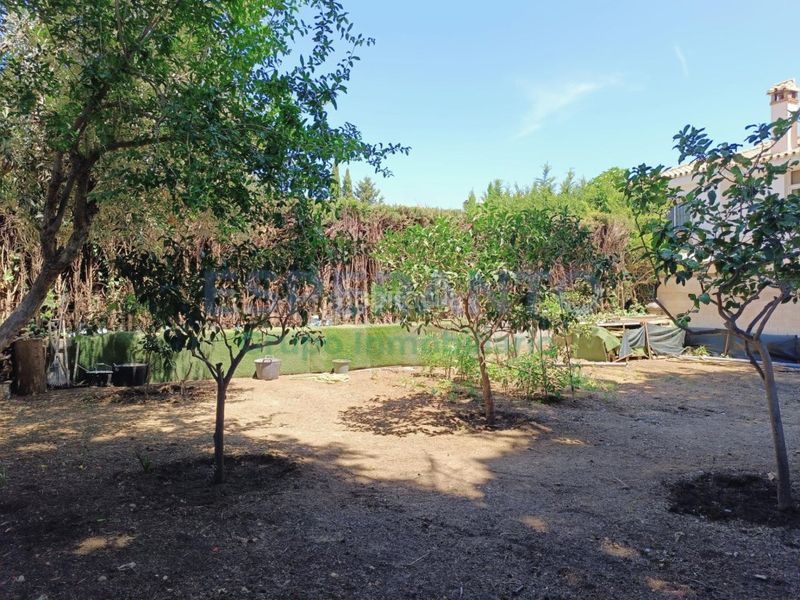 Foto e96f5292-ec3f-478b-ba59-60c2c70e0ac1. Casa amb aparcament piscina a Cortijo de Maza - Finca Monsalvez - El Olivar Málaga