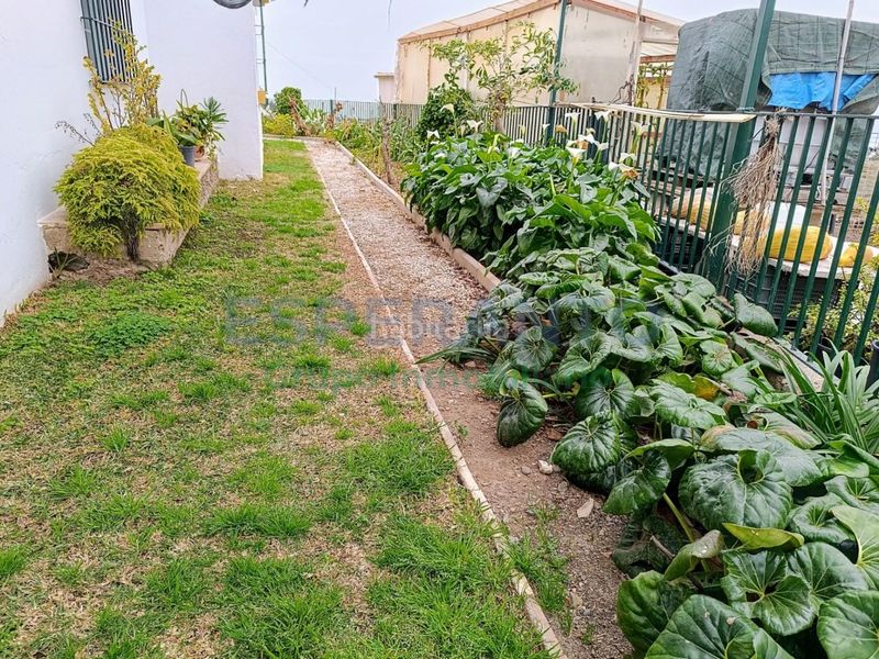 Foto 0efe8f81-7c89-445c-8cd5-2be92bb312df. Masía casa de campo en Benajarafe
