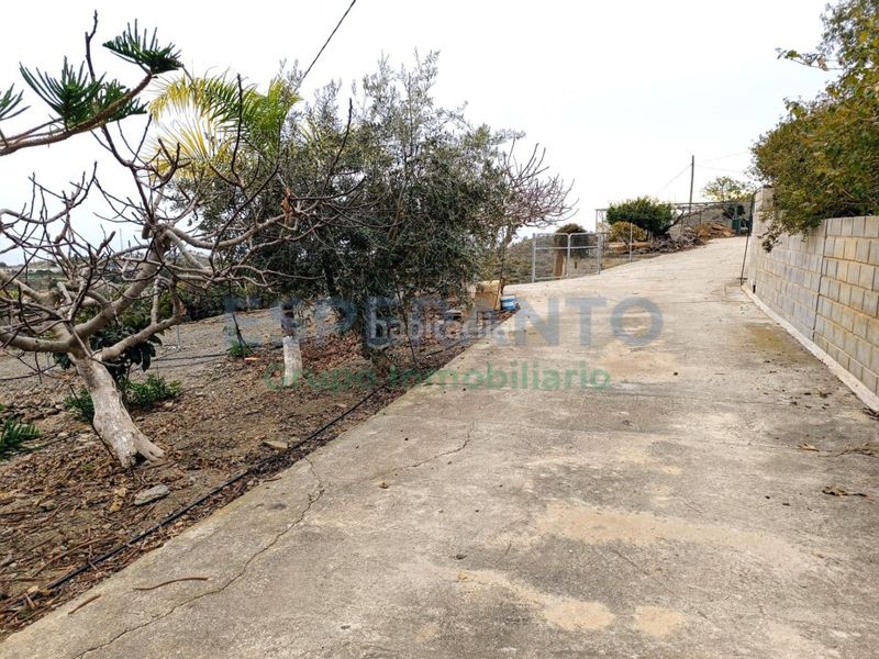 Foto 6b18890c-d717-4f60-abad-a57e3938d1ef. Masía casa de campo en Benajarafe