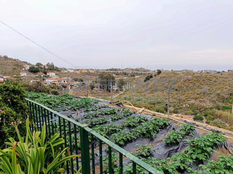 Foto b806fcc8-ee8c-4969-95e5-402f34873bc1. Masía casa de campo en Benajarafe