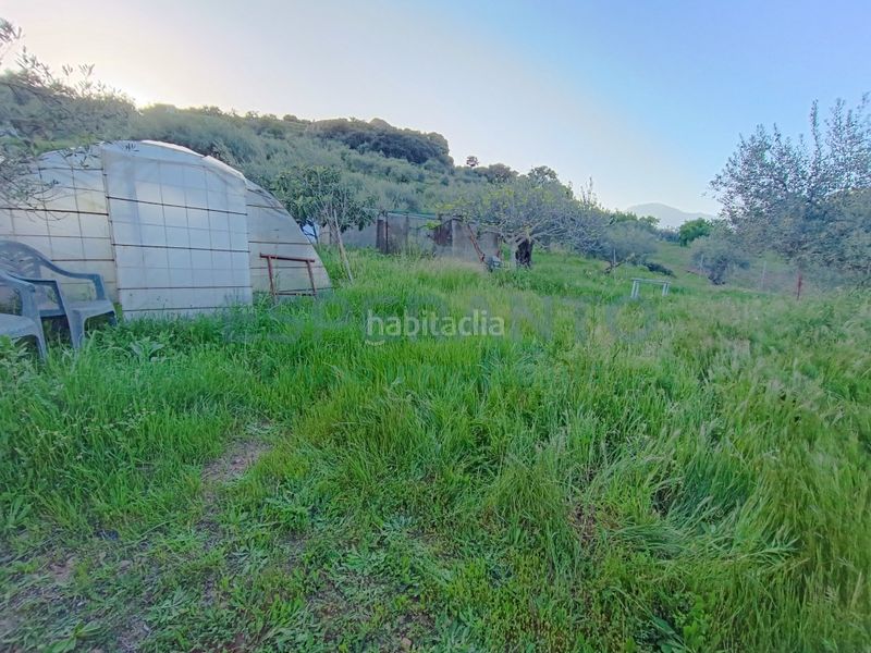 Foto 12936321-b344-4995-bcf8-2df9a62a49a2. Finca rústica a Coín