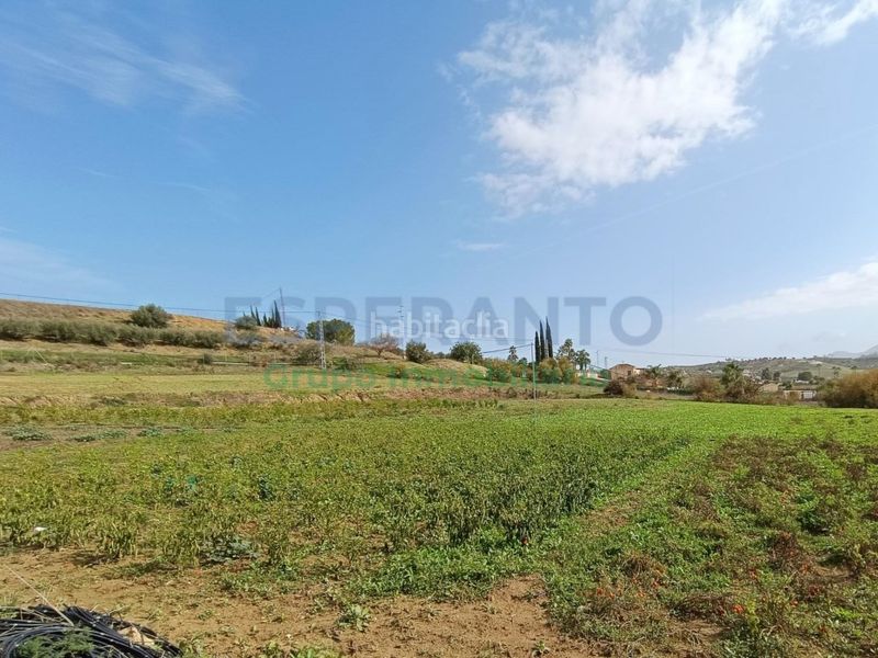 Foto 5b7b3302-9c41-4023-8afe-316027fe0bda. Finca rústica a Centro Alhaurín el Grande