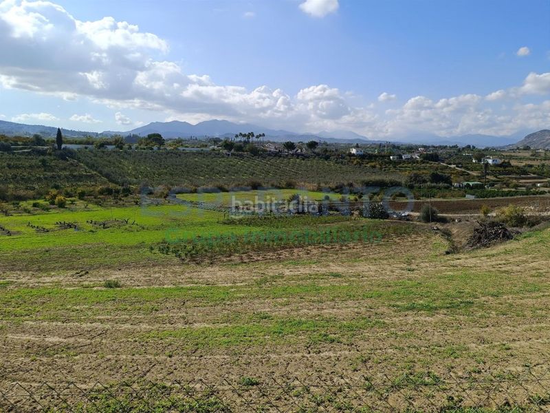 Foto ba1bbfd4-2af8-4a42-9caf-250fb223c17c. Finca rústica a Centro Alhaurín el Grande