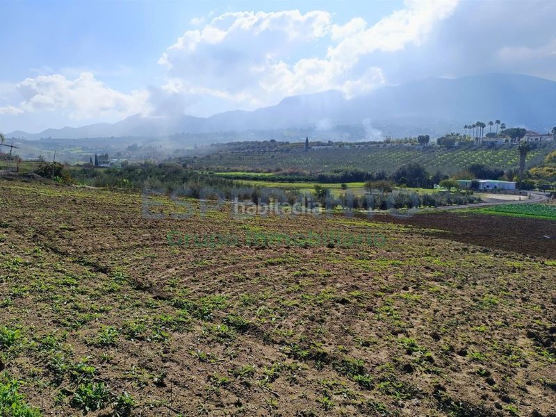 Foto cfabf21c-913d-451c-b257-dee7e02b5aaa. Finca rústica a Centro Alhaurín el Grande