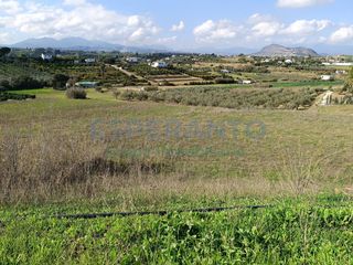 Fondo rustico  Carretera de mirabuen. Finca rustica 30.000 m2. nave de aperos. alhaurín el grande.
