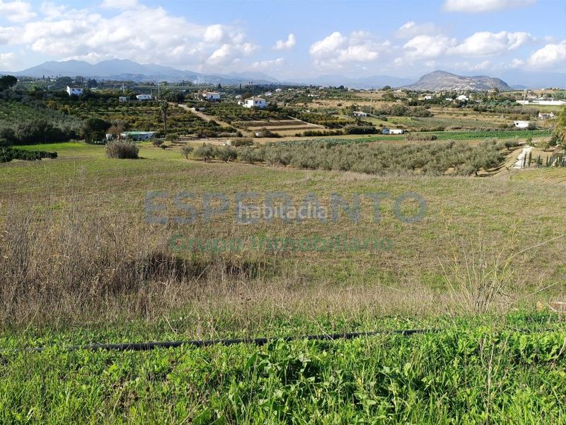 Foto f43c66e9-e30f-4663-b33d-50809f218089. Finca rústica a Centro Alhaurín el Grande