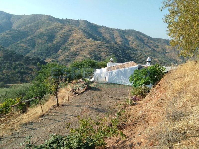 Foto 219d8f18-3368-4695-9d23-a65b7b098978. Masia amb aparcament piscina a Pinares de San Antón Málaga