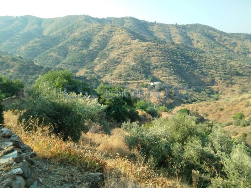 Foto b6ea9516-15b1-41db-9a17-6d7245b1c0b6. Masia amb aparcament piscina a Pinares de San Antón Málaga