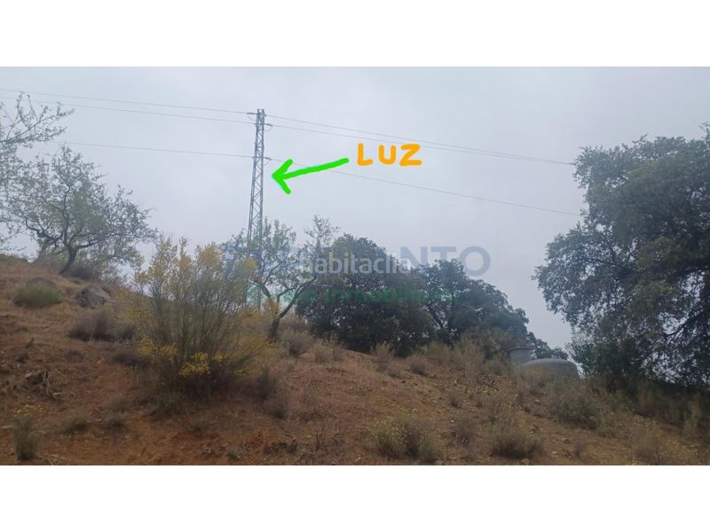 Foto 0f7f7b75-78c2-4bf5-8f34-e479669217ec. Finca rústica a Olías Málaga