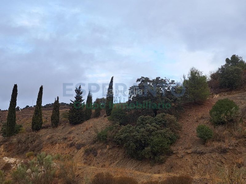 Foto b088c609-e23a-4a1a-aa72-ae67e98d9ca6. Finca rústica a Olías Málaga