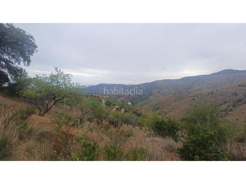 Foto b46e76d3-bb44-4f0d-a609-09db4b467198. Finca rústica a Olías Málaga