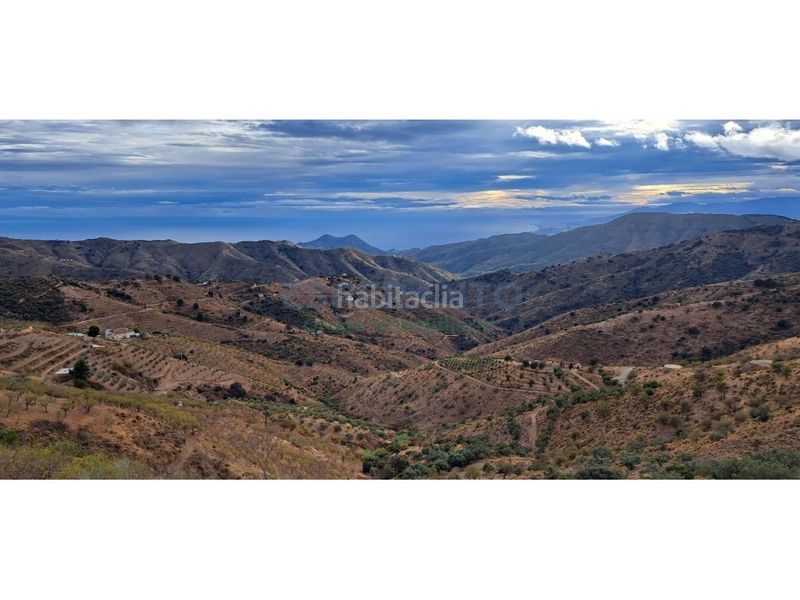 Foto d82e54a3-5351-436c-8da4-3dff70341174. Finca rústica a Olías Málaga