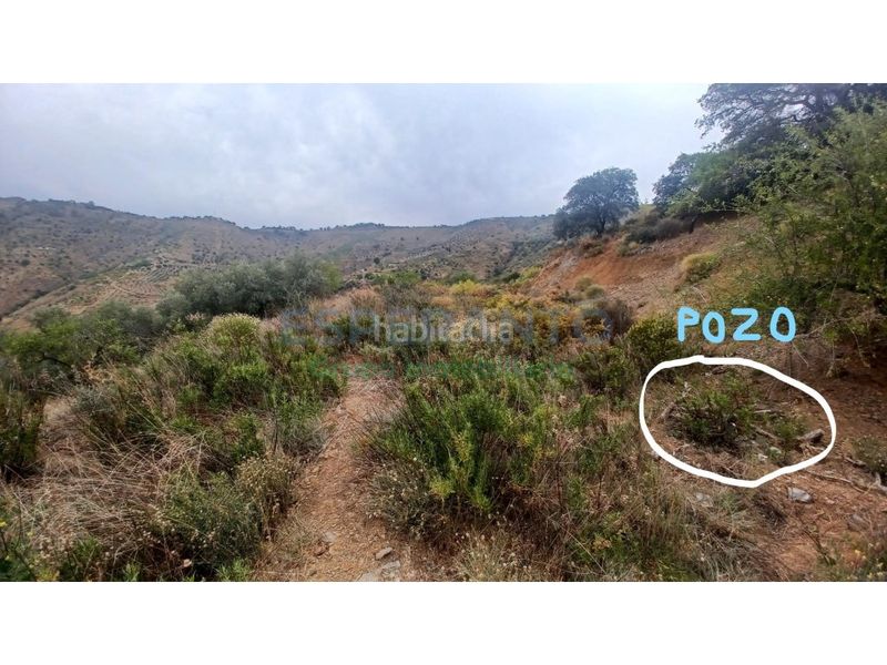 Foto fbba3dfb-3b20-419a-8b52-5d5b68cc5b54. Finca rústica a Olías Málaga
