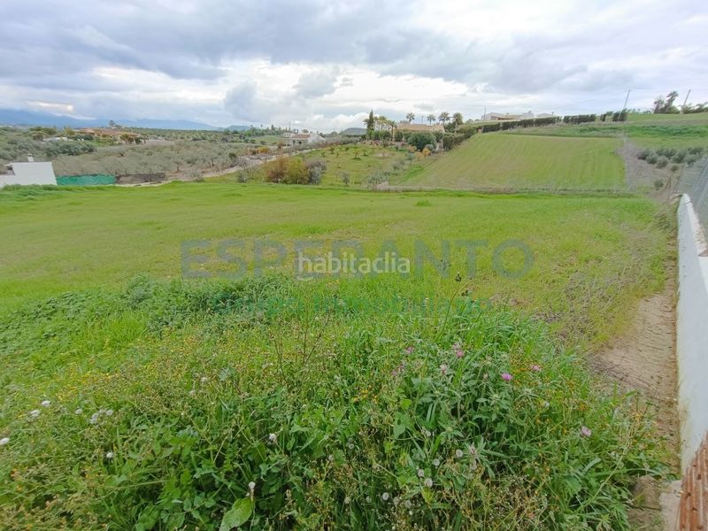 Foto 392860ea-9bd4-4c62-acf1-ac6aed902d8a. Finca rústica a Centro Alhaurín el Grande