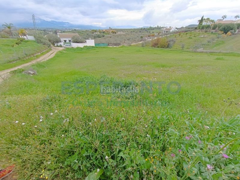 Foto bc70d7b8-3d57-4b09-9435-6065d0d51b48. Finca rústica a Centro Alhaurín el Grande