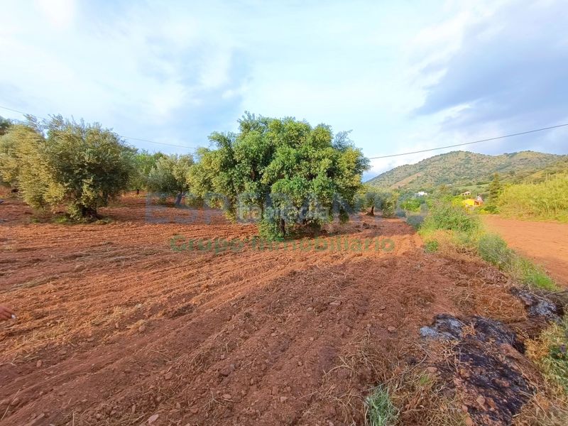 Foto 3d6502d4-2ec4-4b65-a894-a3ff1328253d. Finca rústica a Coín