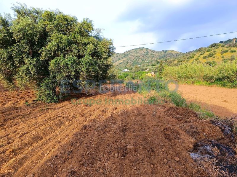 Foto 696247ba-5202-4278-88ab-0fff05876bf1. Finca rústica a Coín