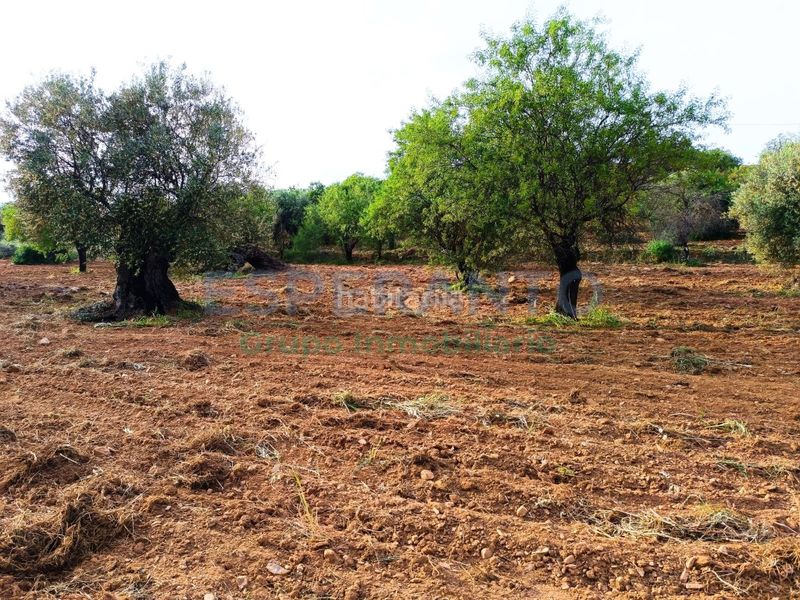 Foto 6c9f8420-5008-47ad-a678-a23e276e3113. Finca rústica a Coín