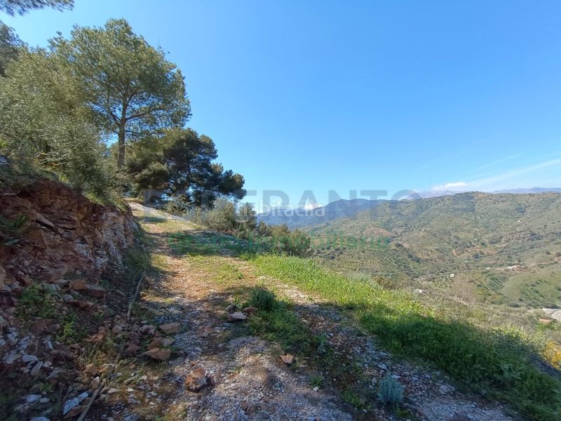 Foto 0afb2544-3a24-4629-9c0b-560d364c9405. Finca rústica a Guaro