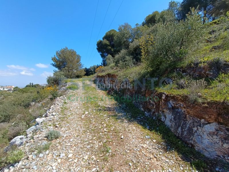 Foto 5f2a441b-fb7b-4631-adf7-71a0fa51cdc1. Finca rústica a Guaro