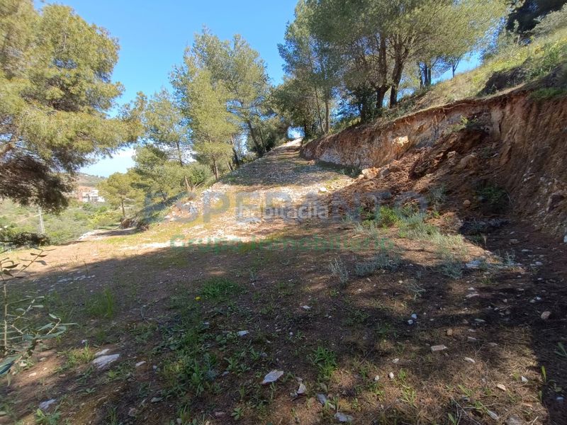 Foto 5f6eed39-9174-4e82-ae55-409cbb70d55f. Finca rústica a Guaro