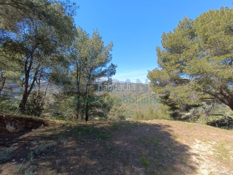 Foto 8a5e9a9d-6aeb-4923-8575-b262161361c1. Finca rústica a Guaro