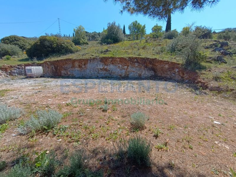 Foto a4df8c52-7561-4be8-b11e-cc975a1db56a. Finca rústica a Guaro
