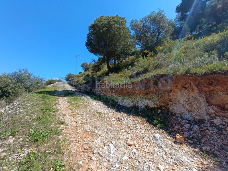 Foto abcaf26a-fb6b-4db9-b0ca-fac53ce92866. Finca rústica a Guaro