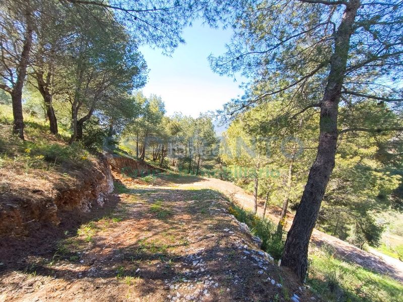 Foto cb16abe7-ea69-4f3d-90d6-e0f8079e3905. Finca rústica a Guaro