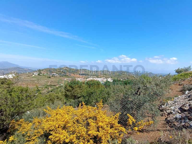 Foto d7412542-fdba-4354-9019-2946f05205f6. Finca rústica a Guaro