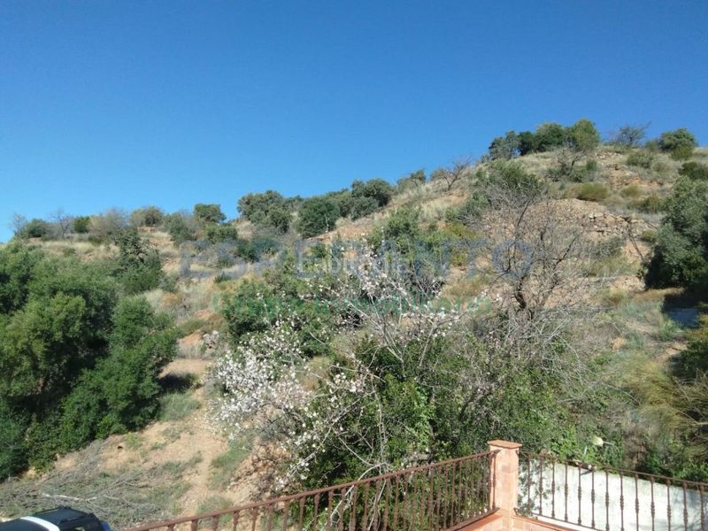 Foto dde0bf50-acdb-4664-9989-6d9892cd2d88. Casa amb aparcament a Olías Málaga