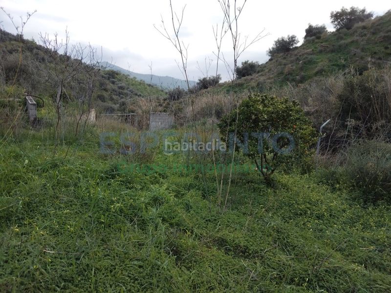 Foto 175c0b0a-a424-4516-b922-5e3ee0fcc88d. Finca rústica a Totalán