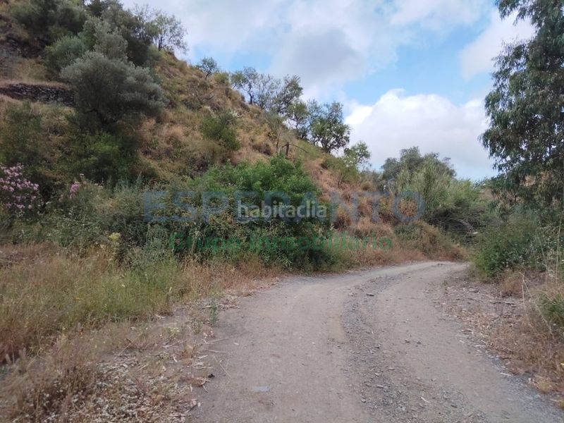 Foto 46f4254e-f704-42ba-b78c-fc8a1165ef98. Finca rústica a Totalán