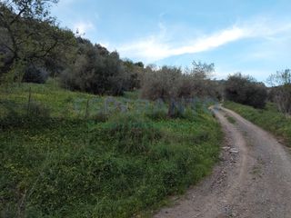 Finca rústica en Totalán. Parcela rustica con casa de aperos y pozo.