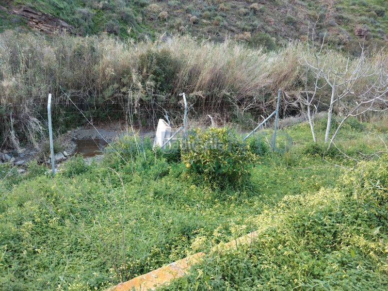 Foto 9be83854-48b7-4412-99b0-0a9eeb5c1634. Finca rústica a Totalán