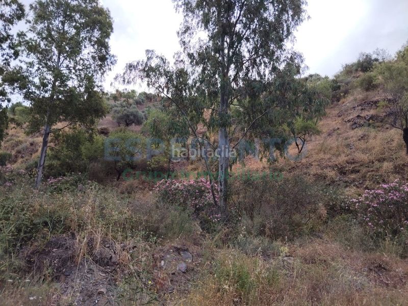 Foto acc0fdfc-93da-40f4-9531-4a239622d5d3. Finca rústica a Totalán