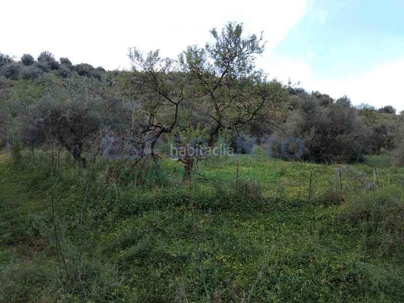 Foto cbd87f6b-6b5a-4f6f-85f3-b361fa5a740d. Finca rústica a Totalán
