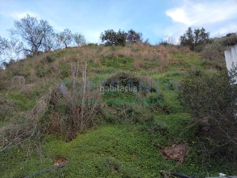 Foto eef8a406-2c24-4bea-830a-905a68ca6298. Finca rústica a Totalán