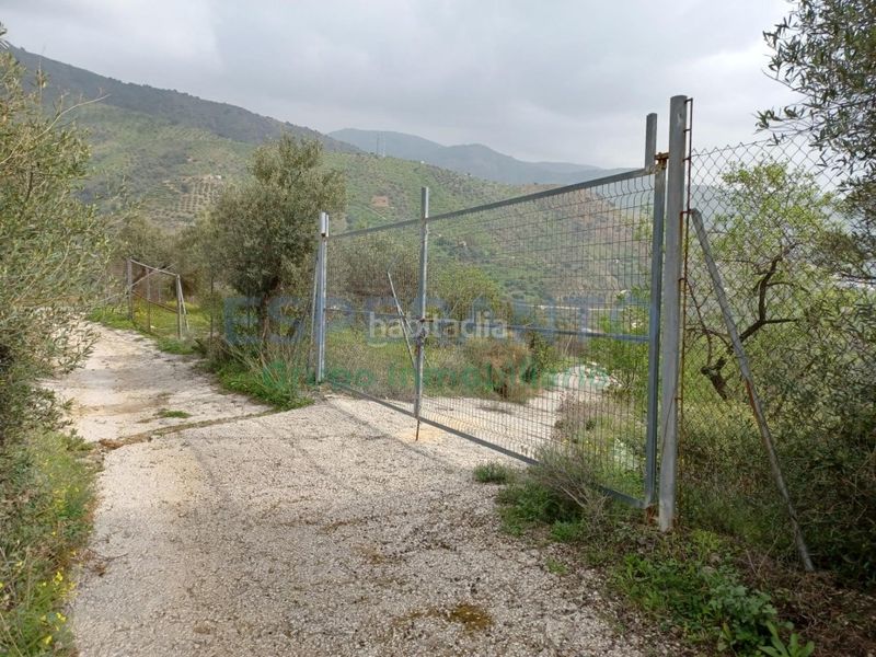 Foto 7362de21-6aca-4bf3-b405-9d38a1b7b06e. Terreny residencial a a-7001 km. 1 a Olías Málaga