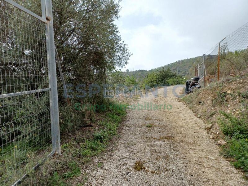 Foto 0c4ec7b6-f7f6-4b67-bd80-852780a7d755. Affitto terreno residenziale in a-7001 km. 1 in Olías Málaga