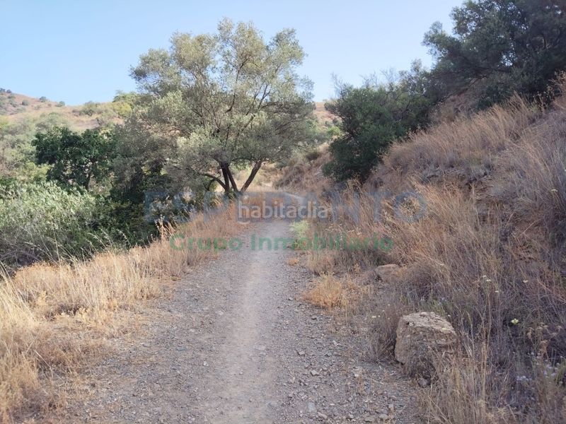 Foto 411d0b3e-8690-4539-baca-fe7e96a57085. Terreny residencial a Pinares de San Antón Málaga