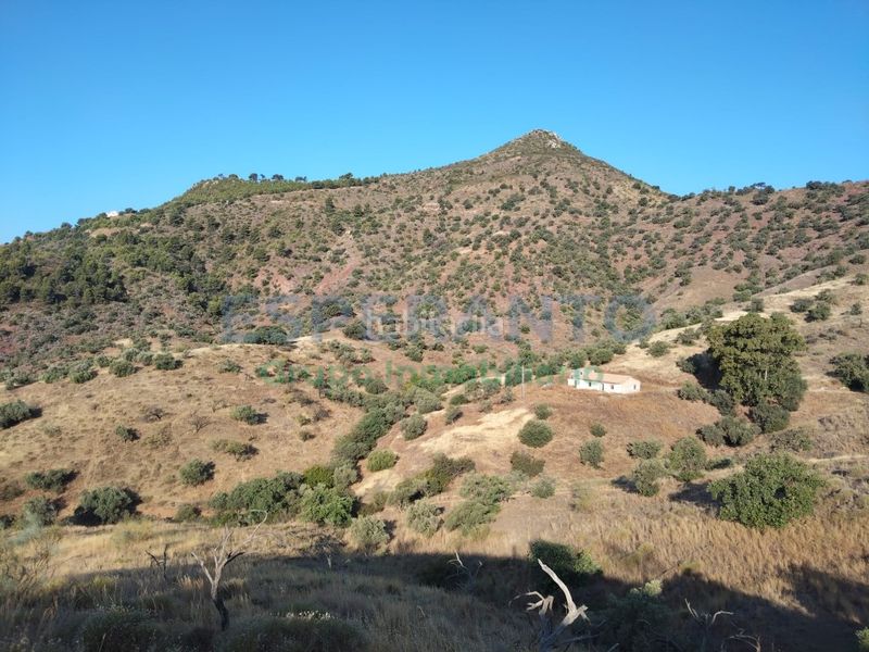 Foto 53dccd4d-0aa7-4d8e-903b-86c354c414b6. Terreny residencial a Pinares de San Antón Málaga