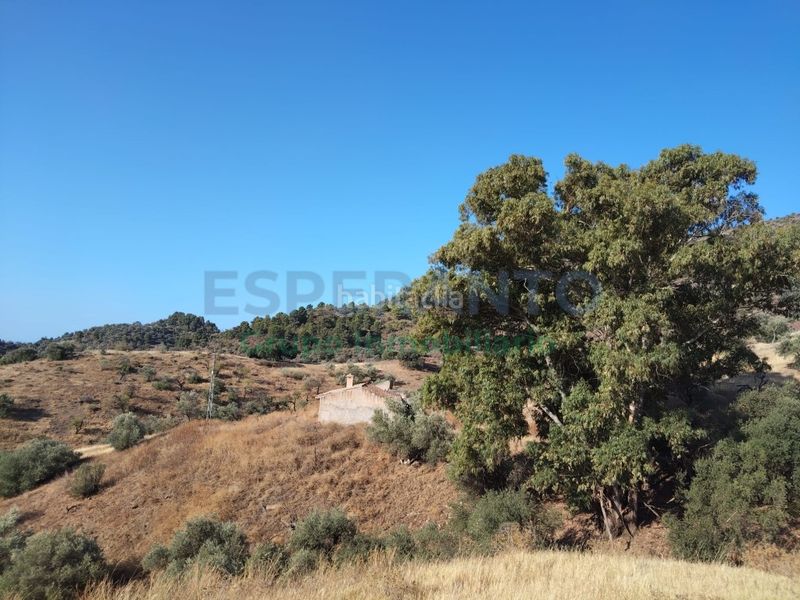 Foto 55642844-8ce6-443a-8555-405061737a13. Terreny residencial a Pinares de San Antón Málaga