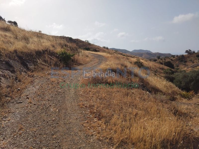 Foto ca571e1e-c371-4e18-8076-d0f66d558754. Terreny residencial a Pinares de San Antón Málaga